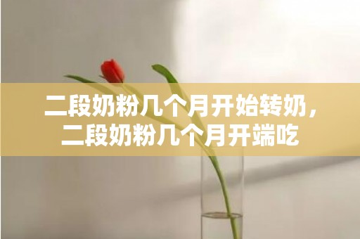二段奶粉几个月开始转奶，二段奶粉几个月开端吃