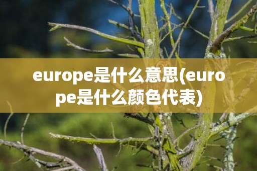 europe是什么意思(europe是什么颜色代表)