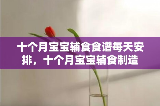 十个月宝宝辅食食谱每天安排，十个月宝宝辅食制造