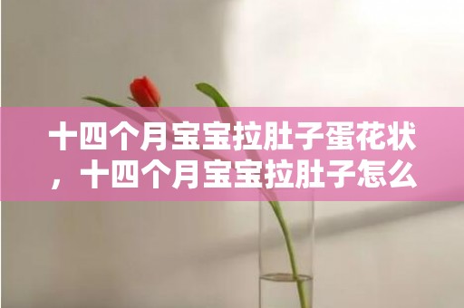 十四个月宝宝拉肚子蛋花状，十四个月宝宝拉肚子怎么办