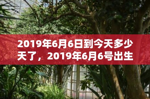 2019年6月6日到今天多少天了，2019年6月6号出生的男孩起什么名字比较好，五行属什么