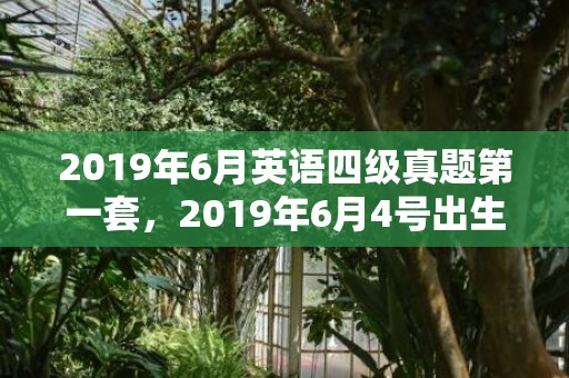 2019年6月英语四级真题第一套，2019年6月4号出生的男孩起什么名字比较好，五行属什么