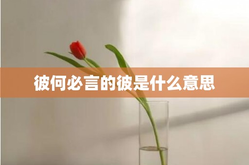 彼何必言的彼是什么意思