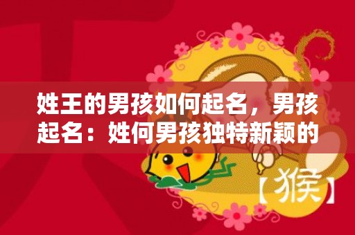 姓王的男孩如何起名，男孩起名：姓何男孩独特新颖的名字