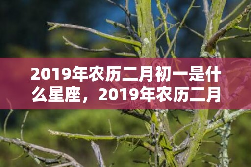 2019年农历二月初一是什么星座，2019年农历二月二十一出生的双胞胎男孩怎么样起名字，五行属什么