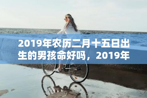 2019年农历二月十五日出生的男孩命好吗，2019年农历二月二十出生的双胞胎男孩怎么样起名字，五行属什么