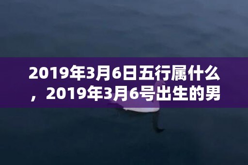 2019年3月6日五行属什么，2019年3月6号出生的男宝宝五行缺水要如何起名字