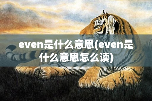 even是什么意思(even是什么意思怎么读)