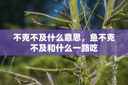 不克不及什么意思，鱼不克不及和什么一路吃