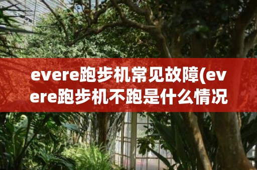 evere跑步机常见故障(evere跑步机不跑是什么情况)