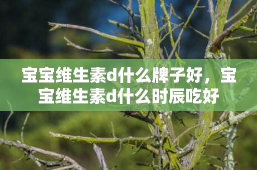 宝宝维生素d什么牌子好，宝宝维生素d什么时辰吃好