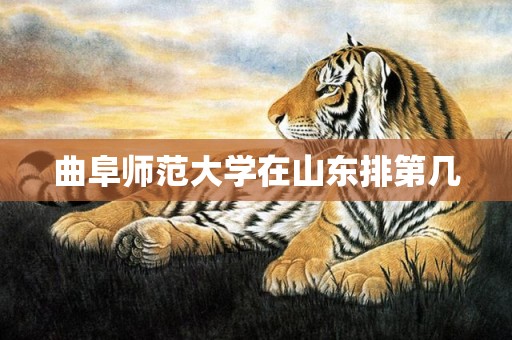 曲阜师范大学在山东排第几