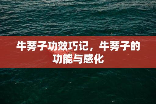 牛蒡子功效巧记，牛蒡子的功能与感化