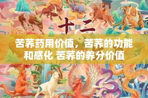 苦荞药用价值，苦荞的功能和感化 苦荞的养分价值