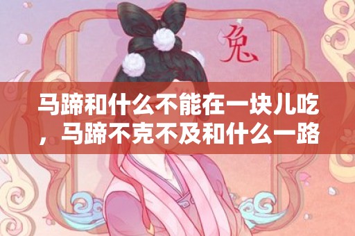 马蹄和什么不能在一块儿吃，马蹄不克不及和什么一路吃