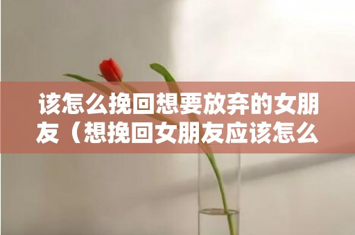 该怎么挽回想要放弃的女朋友（想挽回女朋友应该怎么做）