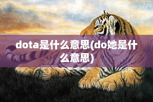 dota是什么意思(do她是什么意思)