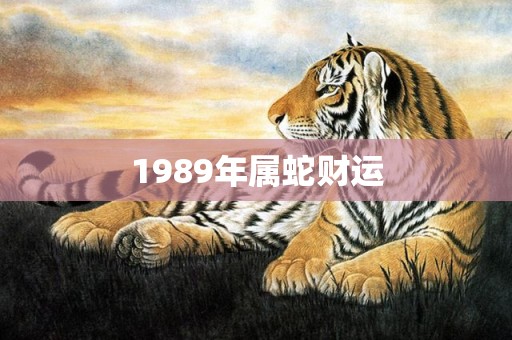 1989年属蛇财运