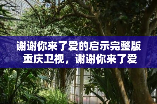 谢谢你来了爱的启示完整版 重庆卫视，谢谢你来了爱的启示完整版