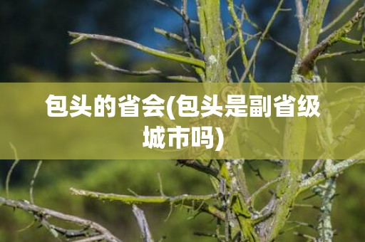 包头的省会(包头是副省级城市吗)