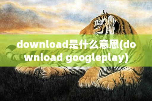 download是什么意思(download googleplay)
