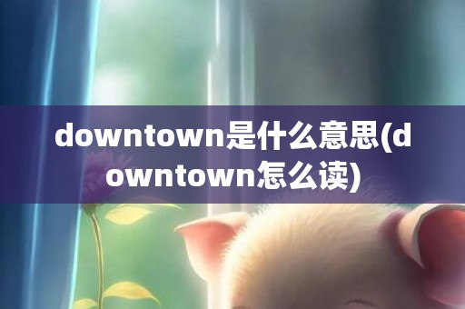 downtown是什么意思(downtown怎么读)