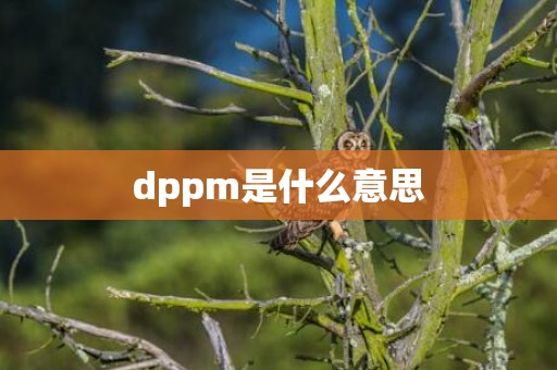dppm是什么意思