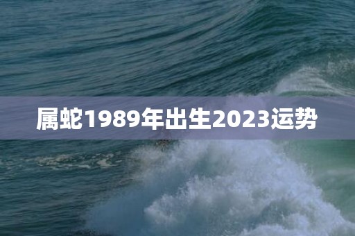 属蛇1989年出生2023运势