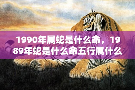 1990年属蛇是什么命，1989年蛇是什么命五行属什么