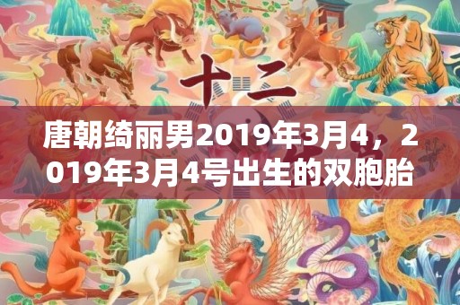 唐朝绮丽男2019年3月4，2019年3月4号出生的双胞胎男孩起什么名字比较好，五行属什么