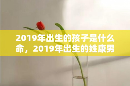 2019年出生的孩子是什么命，2019年出生的姓康男孩如何起名，宜用什么字