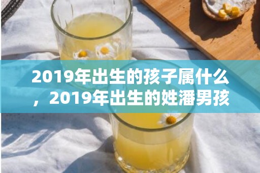 2019年出生的孩子属什么，2019年出生的姓潘男孩如何起名，宜用什么字