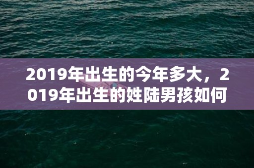 2019年出生的今年多大，2019年出生的姓陆男孩如何起名，宜用什么字