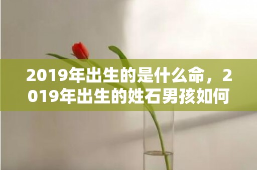 2019年出生的是什么命，2019年出生的姓石男孩如何起名，宜用什么字