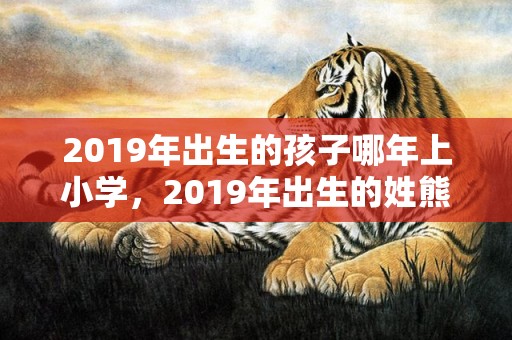 2019年出生的孩子哪年上小学，2019年出生的姓熊男孩如何起名，宜用什么字