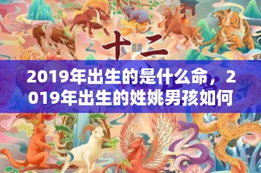2019年出生的是什么命，2019年出生的姓姚男孩如何起名，宜用什么字