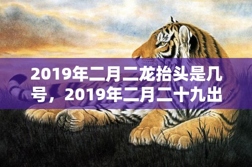 2019年二月二龙抬头是几号，2019年二月二十九出生的男孩怎么样起名字，五行属什么