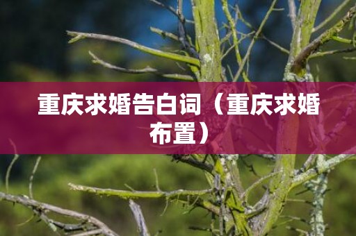 重庆求婚告白词（重庆求婚布置）