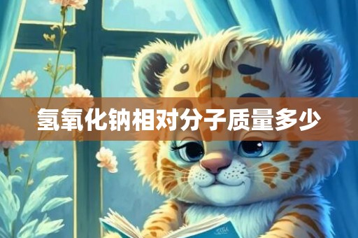 氢氧化钠相对分子质量多少