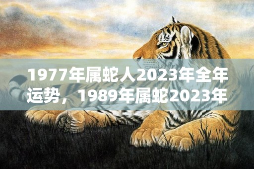 1977年属蛇人2023年全年运势，1989年属蛇2023年每月运程