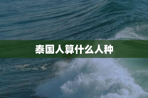泰国人算什么人种