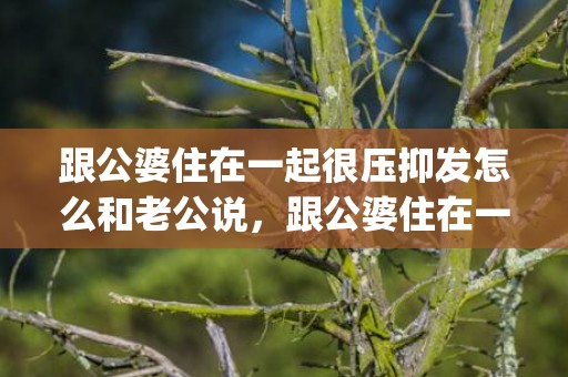跟公婆住在一起很压抑发怎么和老公说，跟公婆住在一起很压抑怎么办老公又不管孩子(不想跟公婆一起住老公不肯分开)
