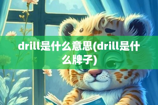 drill是什么意思(drill是什么牌子)