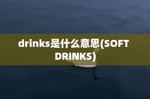 drinks是什么意思(SOFT DRINKS)
