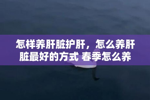 怎样养肝脏护肝，怎么养肝脏最好的方式 春季怎么养肝