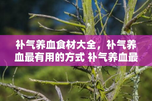 补气养血食材大全，补气养血最有用的方式 补气养血最有用的方式