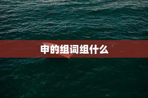 申的组词组什么