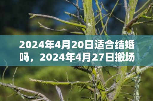 2024年4月20日适合结婚吗，2024年4月27日搬场好吗 2024年4月27日是搬场谷旦吗
