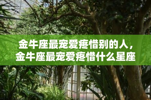 金牛座最宠爱疼惜别的人，金牛座最宠爱疼惜什么星座的人