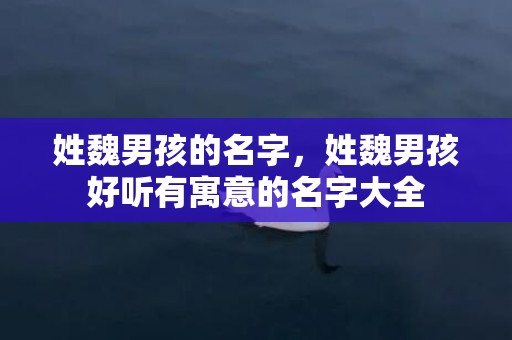 姓魏男孩的名字，姓魏男孩好听有寓意的名字大全